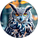 Rajee Kavitha profile picture