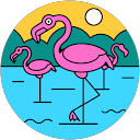 Marsha Saaf profile picture